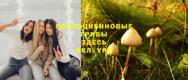 прущая мука Бугульма