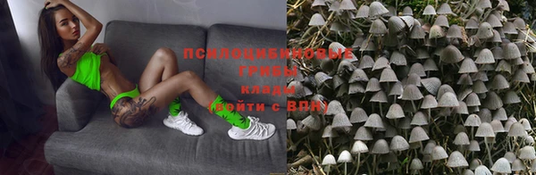 тгк Бронницы