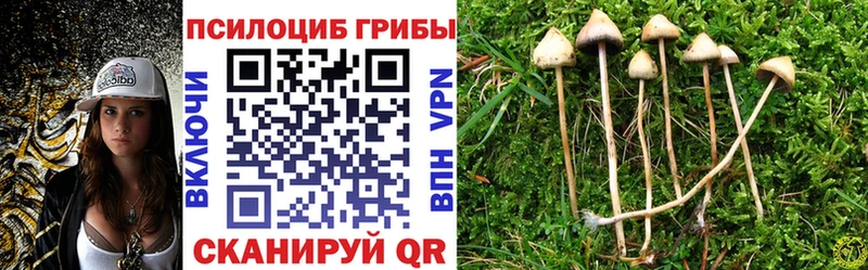 Галлюциногенные грибы прущие грибы  закладка  Люберцы 